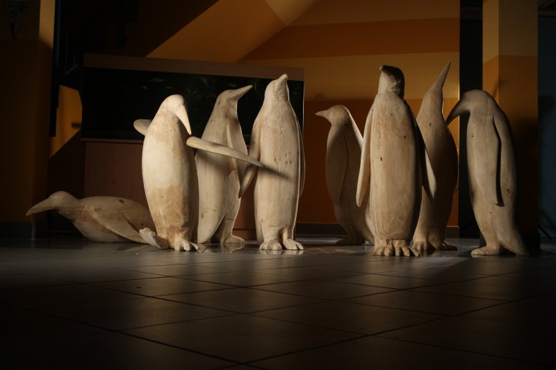 hrademann_76_1.jpg  - © Clemens Körner